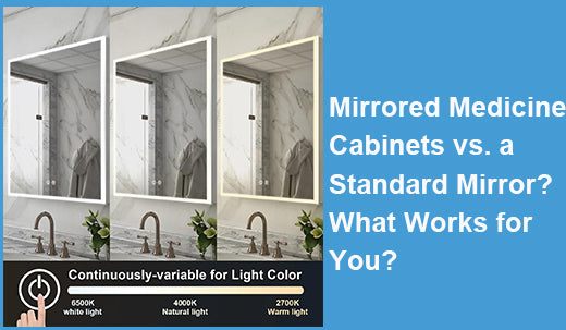 Mirrored Medicine Cabinets vs. a Standard Mirror? What Works for You?