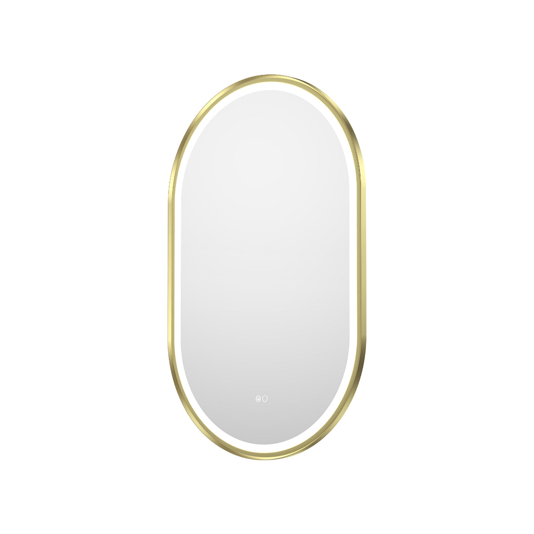 20 in. W x 36 in. H Oval Framed LED Wall-Mounted Bathroom Vanity Mirror Brushed Gold