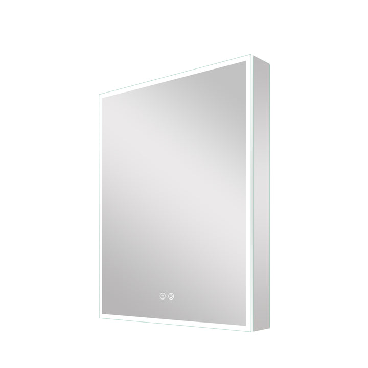 20 in. x 30 in. Rectangular Recessed/Surface Mount Left Medicine Cabinet with Mirror and LED Light